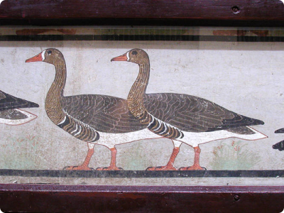 meidum_geese.jpg