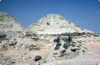 neuserrefeljaroval.jpg