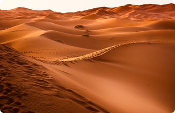 desert-elte190507_szombathyz-nomadtarsadalom-ea.jpg